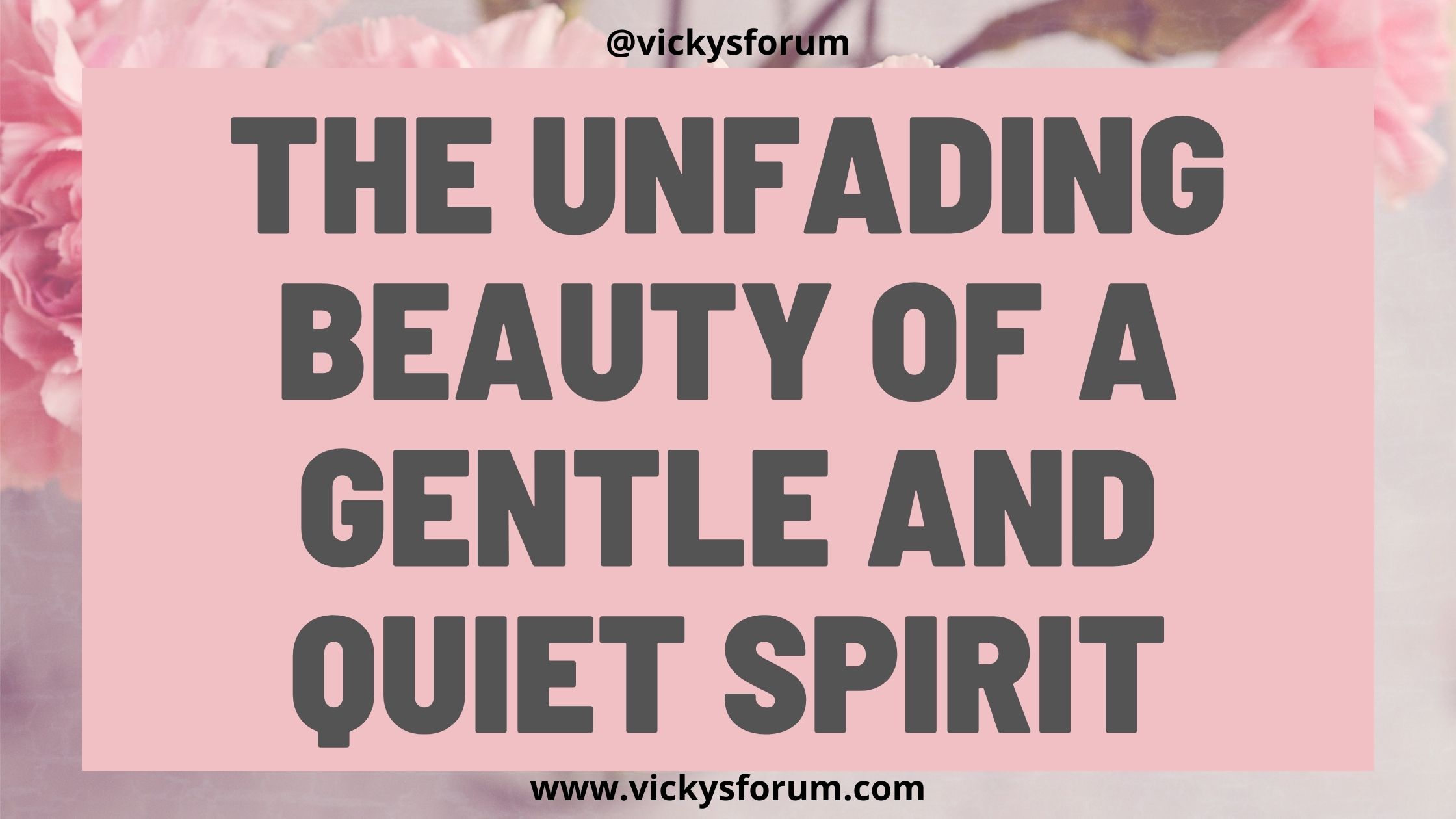 a-gentle-and-quiet-spirit-vicky-s-forum-christian-life-coach-for-women